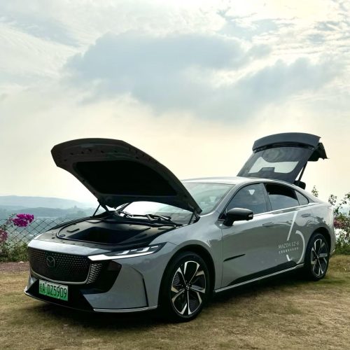 EZ-6 EV 600